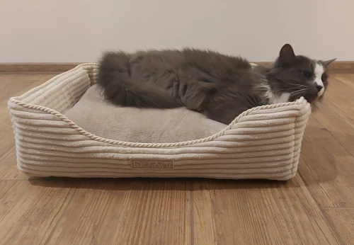 Sztruksowe legowisko dla kota - sofa DOTTY - kremowy sztruks