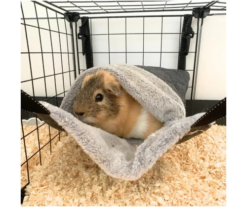 Hamak - norka dla świnki morskiej.webp