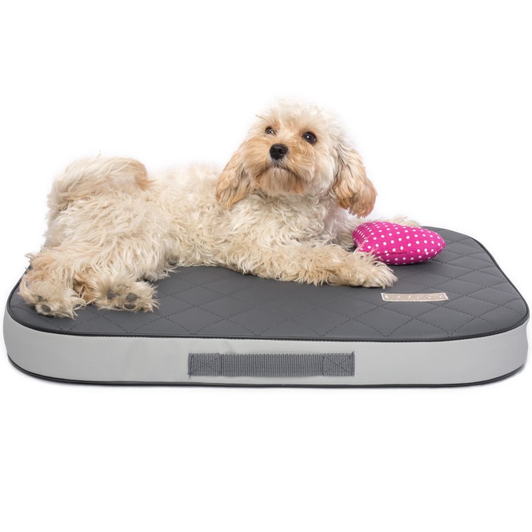 Wodoodporny materac ortopedyczny dla małego psa - DOTTY - kolor grafitowo-szary