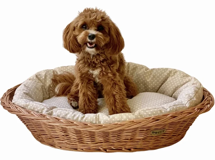 Legowisko  koszyk wiklinowy  beżowy w białe groszki3.webp