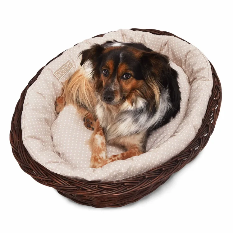 Legowisko  koszyk brązowy  beżowy w białe groszki