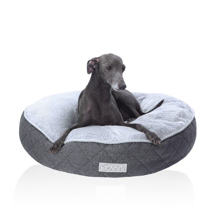 2023_10_10_Dotty_20 kopia.jpg