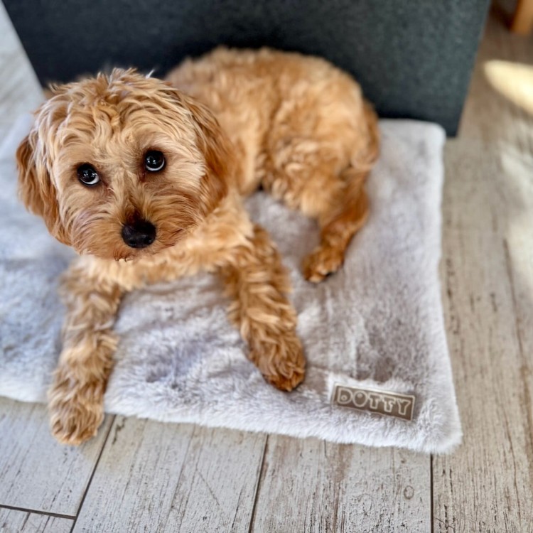 Mata futerkowa - szara