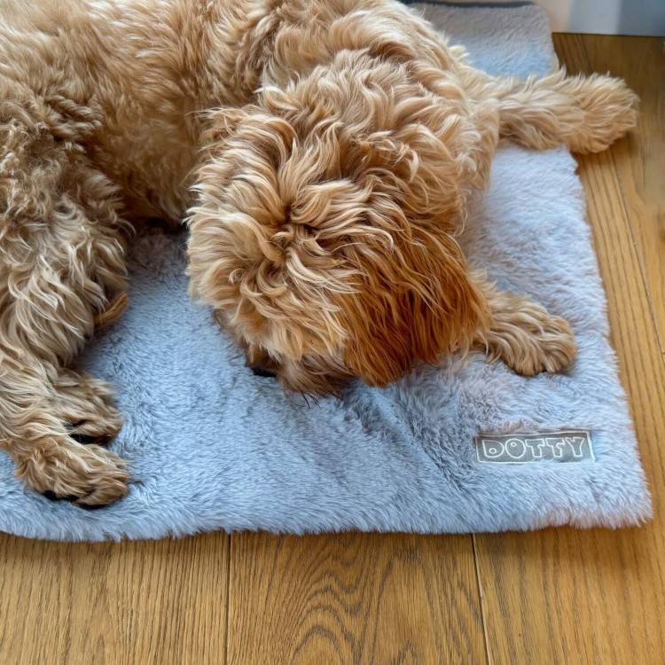 Mata futerkowa - szara