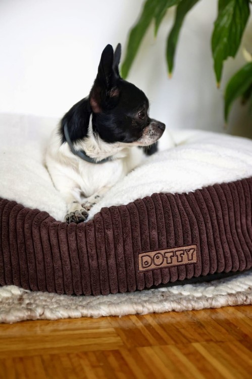 Lily Poducha brąz 2P2A6053 Resize.jpg