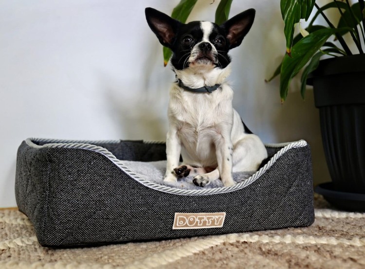 Legowisko prostokątne kanapa grafit