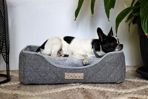 Legowisko dla psa DOTTY prostokątne posłanie - pikowane szare