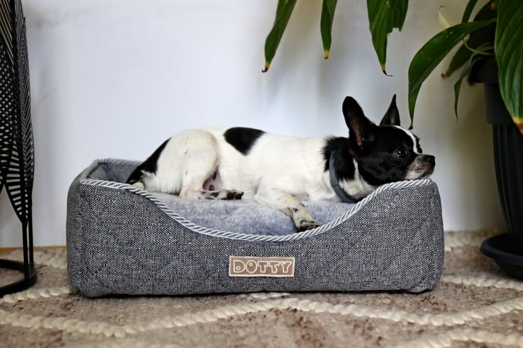 Legowisko dla psa DOTTY prostokątne posłanie - pikowane szare
