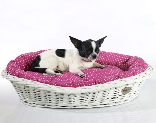 Lily Koszyk bielony 2P2A5748 Resize.jpg