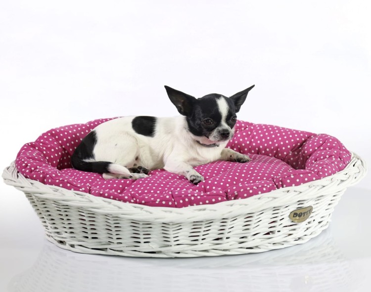 Lily Koszyk bielony 2P2A5748 Resize.jpg