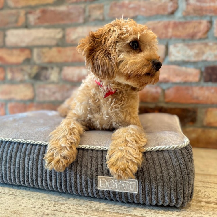 Legowisko ortopedyczne dla psa - grafit