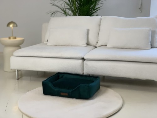 Legowisko dla psa DOTTY prostokątne posłanie PREMIUM - zielony welur