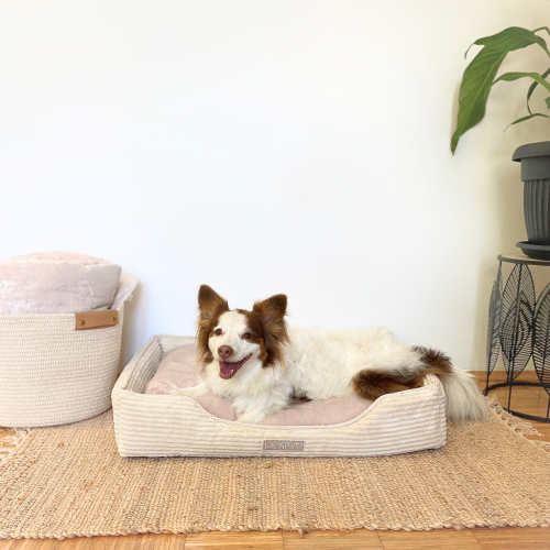 Legowisko dla psa prostokątne kremowe