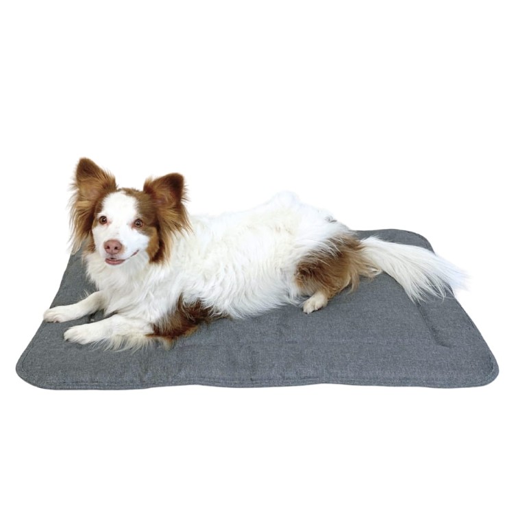 Mata dla psa DOTTY - szara - wzór łapka