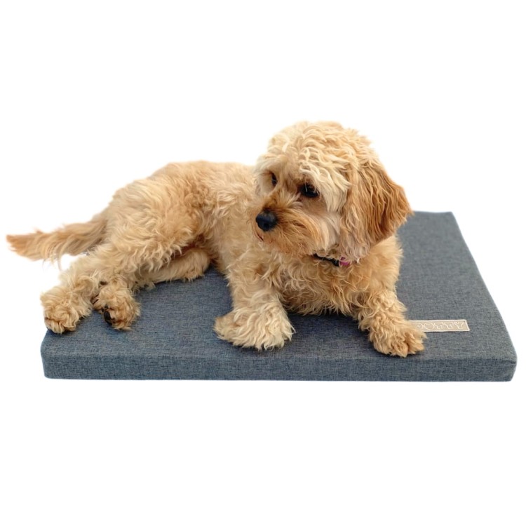 mata piankowa - grafitowa