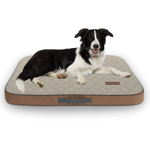 Materac ortopedyczny dla psa - brązowy, pianka MEMORY