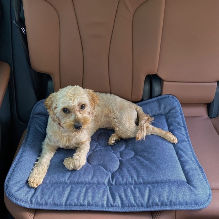 Mata dla psa z łapką - granatowa