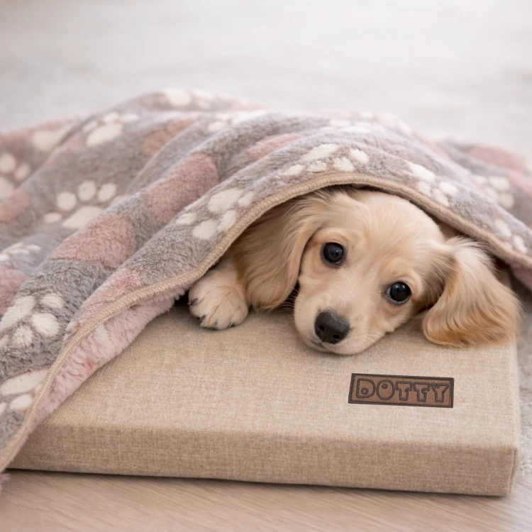 Kocyk dla psa kocyk dla kota DOTTY - beżowy