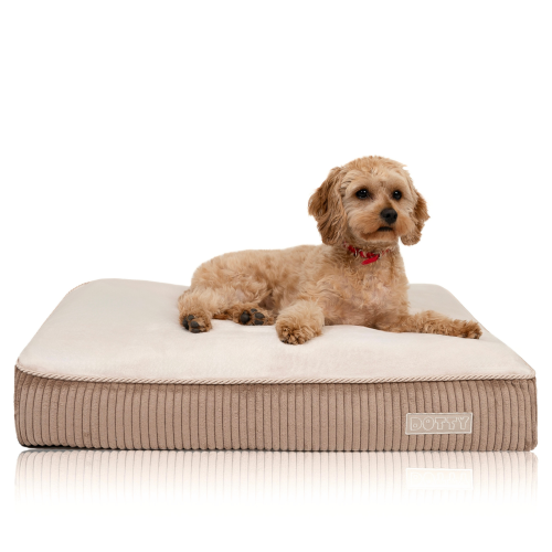 Legowisko ortopedyczne dla psa - cappuccino/beż