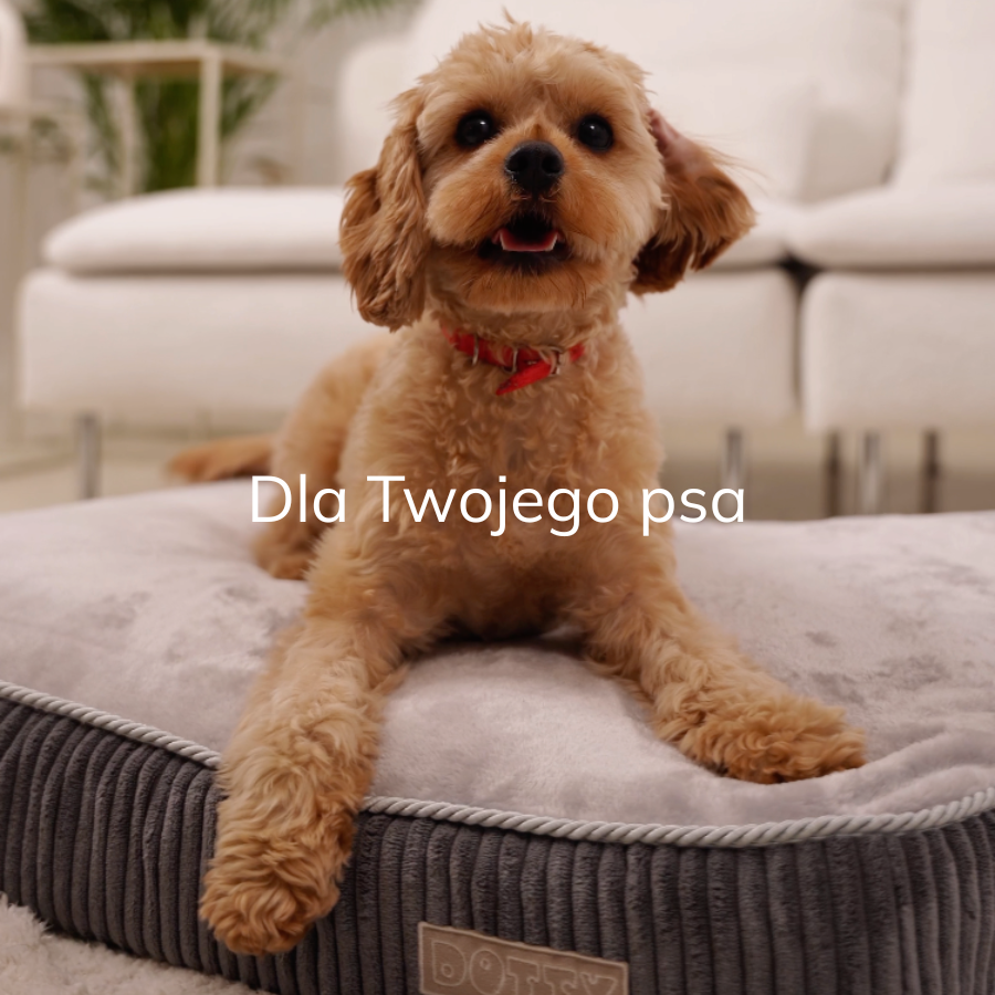 Legowisko ortopedyczne dla psa DOTTY kolor szary 