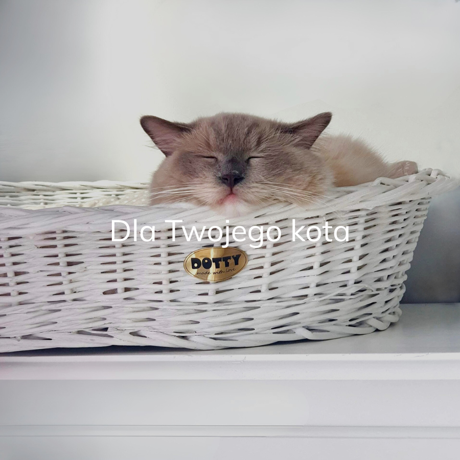 Koszyk wiklinowy dla kota malowany DOTTY