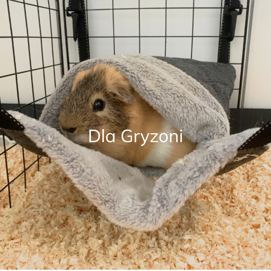 Legowisko dla świnki morskiej - norka DOTTY