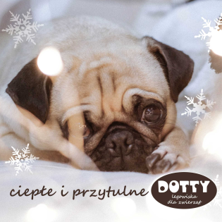 Płatki śniegu na granatowym tle z logo DOTTY