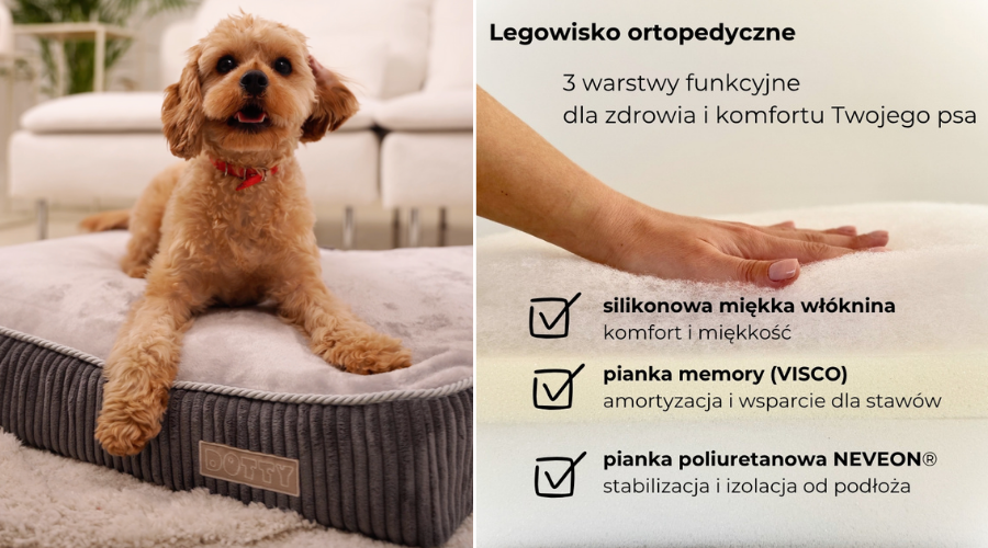 Legowisko ortopedyczne