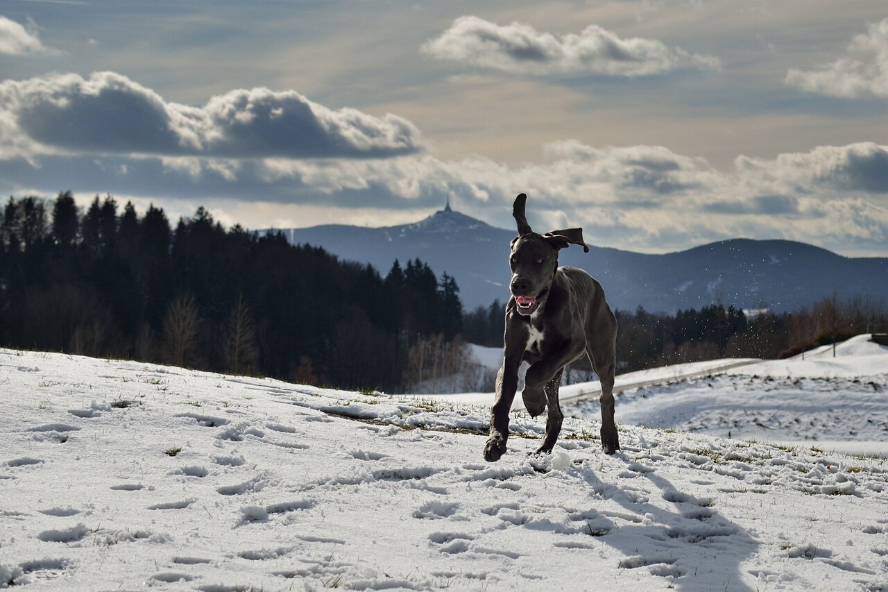 Wygodne zakupy na www.dotty.com.pl